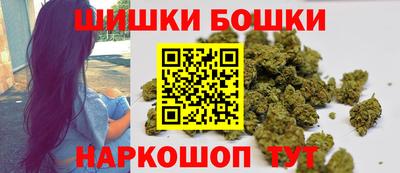 индика Дубна