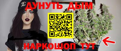 индика Дубна