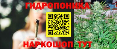 индика Дубна