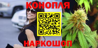 индика Дубна