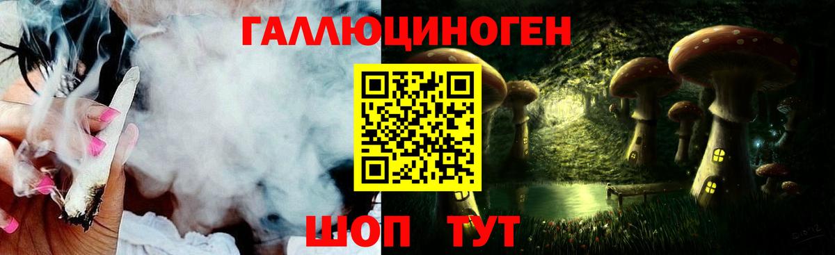 Дмитров  Псилоцибиновые грибы мицелий  Псилоцибиновые грибы Psilocybine cubensis  Вход с VPN 